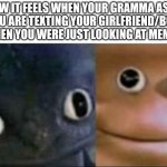 Blank stare dragon | HOW IT FEELS WHEN YOUR GRAMMA ASKS YOU IF YOU ARE TEXTING YOUR GIRLFRIEND/BOYFRIEND WHEN YOU WERE JUST LOOKING AT MEMES | image tagged in blank stare dragon | made w/ Imgflip meme maker