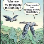 Remember to set your account to private on twitter, because blocked users can now see your tweets. | Why are we migrating to BlueSky? Elon musquito has released the new block feature. | image tagged in migrating birds,twitter,bluesky,blue sky | made w/ Imgflip meme maker