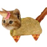 Bacon Taco Cat left