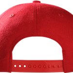 Back of MAGA hat