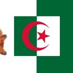 algeria hamster country ball flag