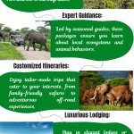 Serengeti Safari Packages