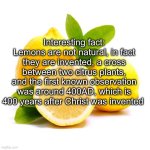 when lif gives you lemons | Interesting fact: Lemons are not natural, in fact they are invented, a cross between two citrus plants, and the first known observation was around 400AD, which is 400 years after Christ was invented | image tagged in when lif gives you lemons,memes | made w/ Imgflip meme maker