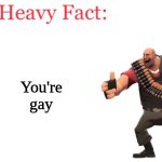 No you | You're gay | image tagged in heavy fact | made w/ Imgflip meme maker