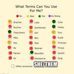 Pronouns Sheet | SHE/THEM | image tagged in pronouns sheet | made w/ Imgflip meme maker