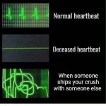 normal heartbeat deceased heartbeat | When someone ships your crush with someone else | image tagged in normal heartbeat deceased heartbeat | made w/ Imgflip meme maker