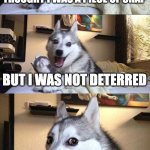 Not Deterred | MY LAST GIRLFRIEND THOUGHT I WAS A PIECE OF CRAP; BUT I WAS NOT DETERRED | image tagged in memes,bad pun dog | made w/ Imgflip meme maker