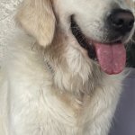 Annie