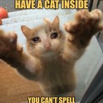 Little Orphan Kitty | EVERY HOUSE SHOULD HAVE A CAT INSIDE; YOU CAN'T SPELL "HOMEOWNER" WITHOUT "MEOW" | image tagged in crying sad cat trying to get into house,memes,picture punches,meow | made w/ Imgflip meme maker