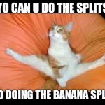 Hi | YO CAN U DO THE SPLITS; BRO DOING THE BANANA SPLITS | image tagged in cat with gymnastics | made w/ Imgflip meme maker