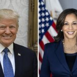 Trump harris meme