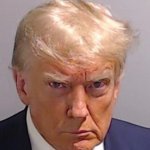 Donald trump mugshot