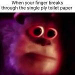 That stuff is not finger-proof. | When your finger breaks through the single ply toilet paper | image tagged in mmm,toilet paper,accidental prostate exam | made w/ Imgflip meme maker