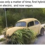 Vegan Beetle! meme