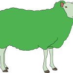 Isla Phanero's Sheep