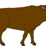 Male Aurochs (Paleoverse + EOIverse)