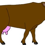 Female Aurochs (Paleoverse + EOIverse)