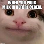 dissapointment | WHEN YOU POUR MILK IN BEFORE CEREAL | image tagged in beluga,ice cream | made w/ Imgflip meme maker