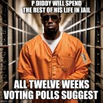 P Diddy Diddler inmate prison | P DIDDY WILL SPEND THE REST OF HIS LIFE IN JAIL; ALL TWELVE WEEKS VOTING POLLS SUGGEST | image tagged in p diddy diddler inmate prison | made w/ Imgflip meme maker