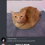 Lasang | SOMETIMES I AM A LOAF; HALLO!? | image tagged in lasang | made w/ Imgflip meme maker