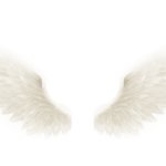 Angel wings