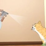 Cat Spray