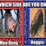 Fight it out in the comments | Moo Deng; Haggis | image tagged in which side are you on,cute animals,gangsta,animals | made w/ Imgflip meme maker