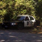 police car