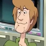 shaggy