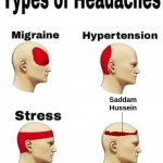 why my headache kinda serving saddam hussein hiding spot | Saddam Hussein | image tagged in saddam hussein hiding spot,funny,types of headaches meme,saddam hussein | made w/ Imgflip meme maker