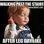 Walking Past the Stairs After a Leg Day Like meme