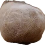 Cat Hair ball