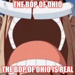 Bop Of Ohio | THE BOP OF OHIO; THE BOP OF OHIO IS REAL | image tagged in one piece is real | made w/ Imgflip meme maker