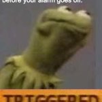 Waking up before your alarm goes off | When you wake up two minutes before your alarm goes off: | image tagged in kermit triggered | made w/ Imgflip meme maker