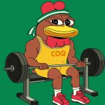 COQ lifts