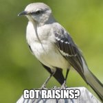 Got Raisins? | GOT RAISINS? | image tagged in mockingbird | made w/ Imgflip meme maker