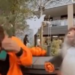 Monkey hits a man with a stick GIF Template