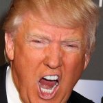 Orange freak