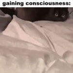 real!!1!!1!!! | 5 year old me suddenly gaining consciousness: | image tagged in gifs,cat | made w/ Imgflip video-to-gif maker