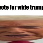 WideTrump meme