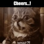 {gif template} ‘Surprised Kittens [No WM]’ {gif template} | Cheers...! | image tagged in gifs,surprised kittens,cats,say what,no watermark,oh no | made w/ Imgflip video-to-gif maker