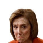 PELOSI PRISON BOUND meme