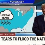 Trump Weatherman Liberal Tears