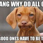 Dissapointed puppy | DANG WHY DO ALL OF; THE GOOD ONES HAVE TO BE TAKEN | image tagged in dissapointed puppy | made w/ Imgflip meme maker