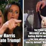 Smudge election thoughts | I voted for Harris because I hate Trump! Yo! YOUR hatred drove MILLIONS of Moderates to think hating Harris was enough to vote for him whereby YOU elected him by default. Move on. Or move out. | image tagged in smudge the cat,election,trump,cats,true | made w/ Imgflip meme maker