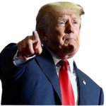 Donald Trump With No Background