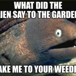 Dad jokes | WHAT DID THE ALIEN SAY TO THE GARDEN? TAKE ME TO YOUR WEEDER | image tagged in memes,bad joke eel | made w/ Imgflip meme maker