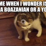 Error cat | ME WHEN I WONDER IS SUIKA A BOAZANIAN OR A YOUKAI? | image tagged in error cat | made w/ Imgflip meme maker