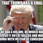 Trump small dick proof | PROOF THAT TRUMP HAS A SMALL DICK; IF HE HAD A BIG ONE, HE WOULD HAVE
 WHIPPED IT OUT AT RALLIES AND WAVED 
IT AROUND WITH NO FEAR OF CONSEQUENCES | image tagged in trump small dick | made w/ Imgflip meme maker