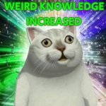 weird knowledge increased